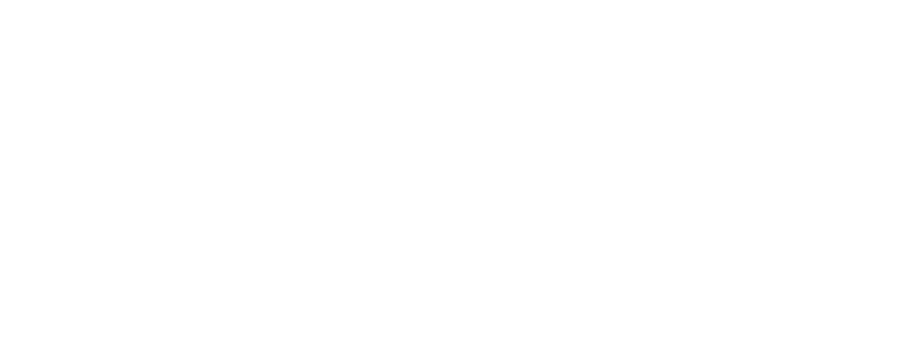 菲尔特 FET Logo